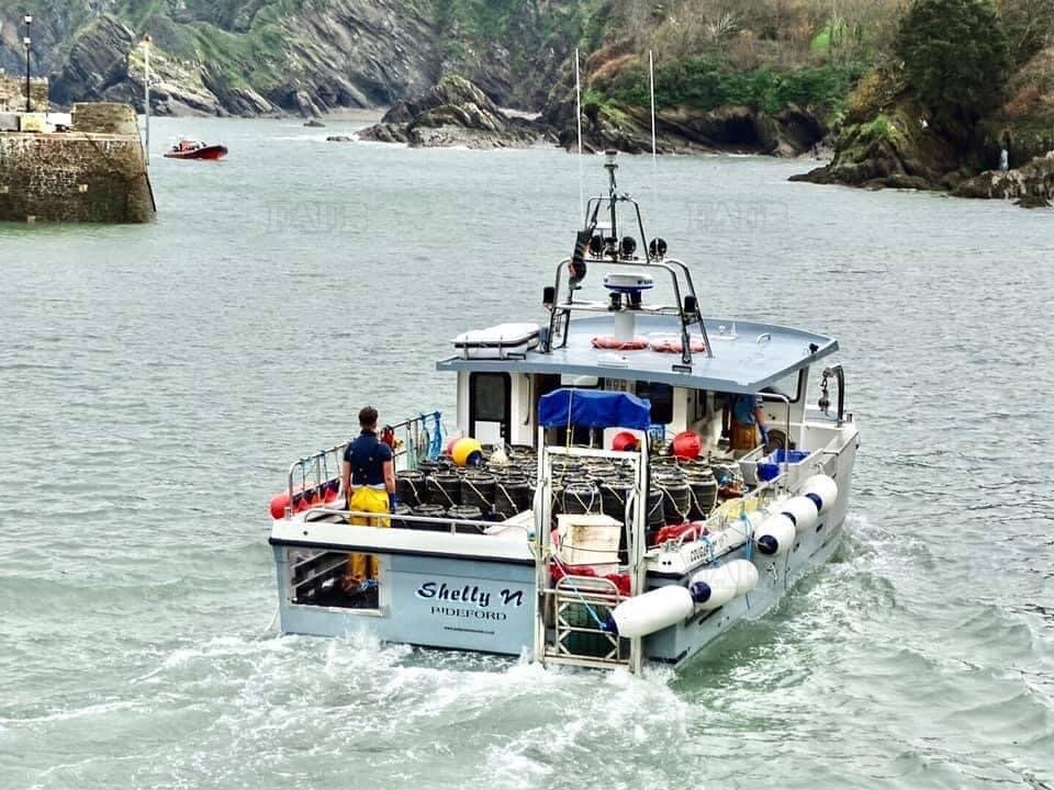 Cougar 10M catamaran