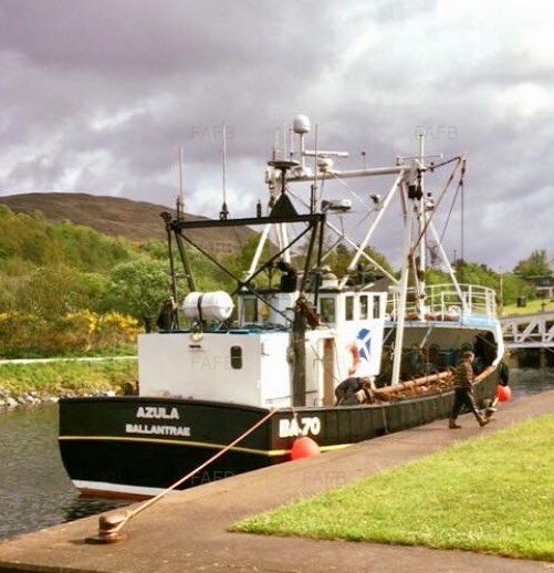Large picture for advert 102411