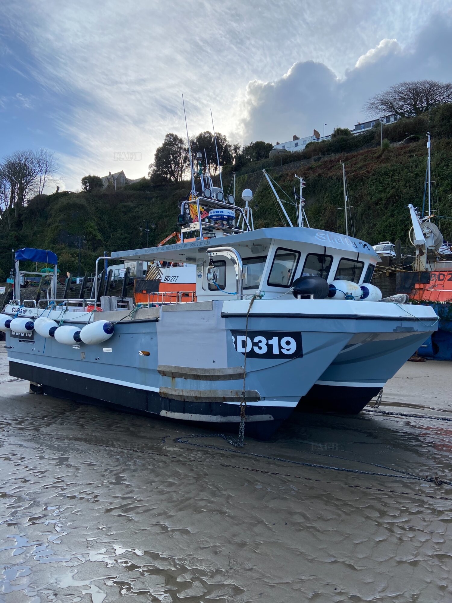 Large picture for advert 112811