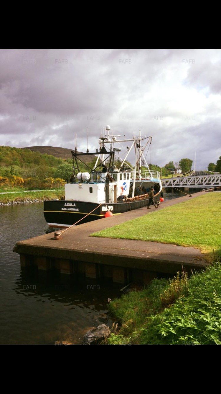 Large picture for advert 102411