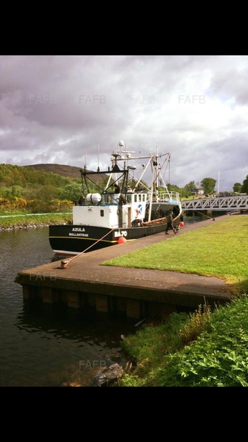 Large picture for advert 102411