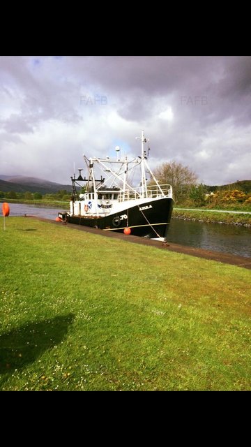 Large picture for advert 102411