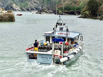 Main picture for advert 112811