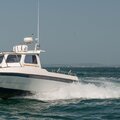 Extra picture for advert 111461